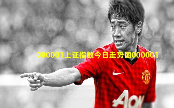 000001上证指数今日走势图000001
