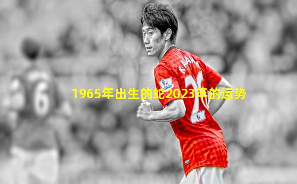 1965年出生的蛇2023年的运势