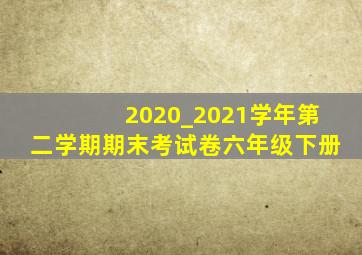 2020_2021学年第二学期期末考试卷六年级下册
