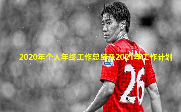 2020年个人年终工作总结及2021年工作计划