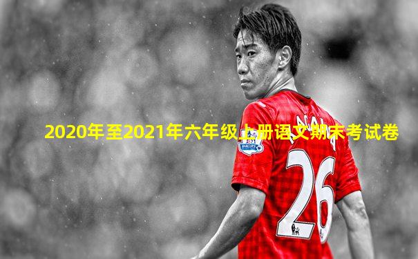 2020年至2021年六年级上册语文期末考试卷
