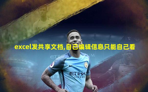 excel发共享文档,自己编辑信息只能自己看