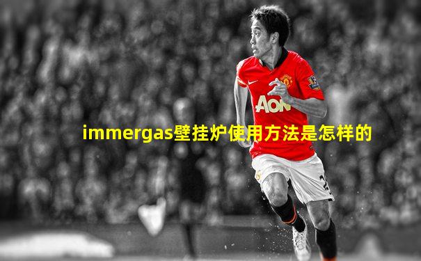 immergas壁挂炉使用方法是怎样的