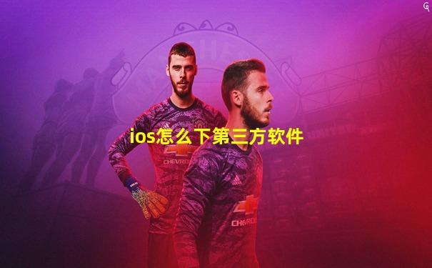 ios怎么下第三方软件