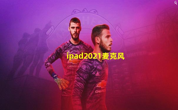 ipad2021麦克风