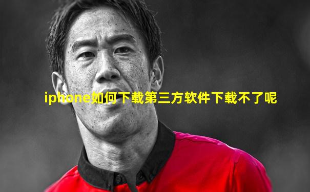 iphone如何下载第三方软件下载不了呢