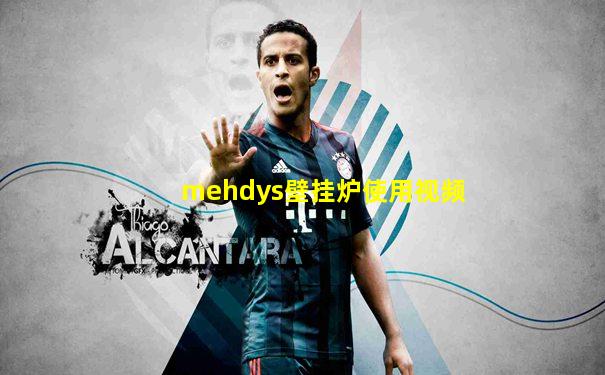 mehdys壁挂炉使用视频
