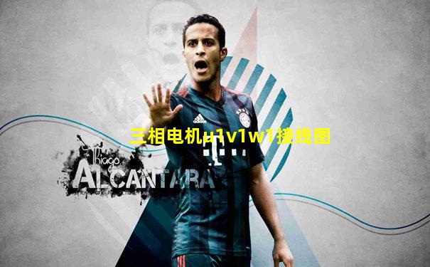 三相电机u1v1w1接线图