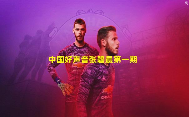 中国好声音张碧晨第一期