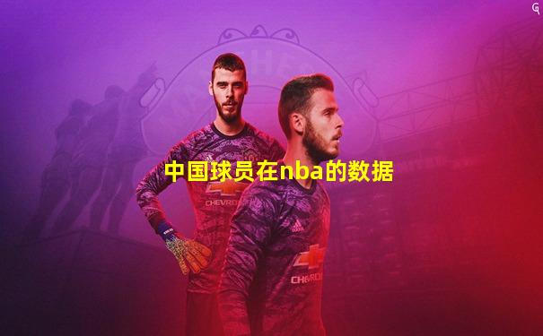中国球员在nba的数据
