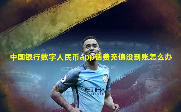 中国银行数字人民币app话费充值没到账怎么办