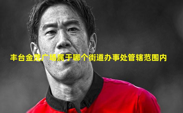 丰台金茂广场属于哪个街道办事处管辖范围内