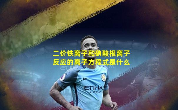 二价铁离子和硝酸根离子反应的离子方程式是什么