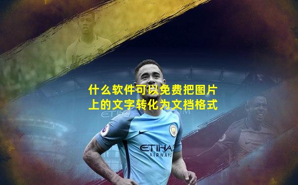 什么软件可以免费把图片上的文字转化为文档格式