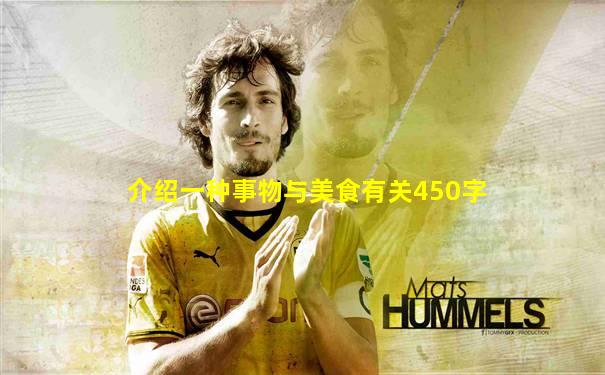介绍一种事物与美食有关450字