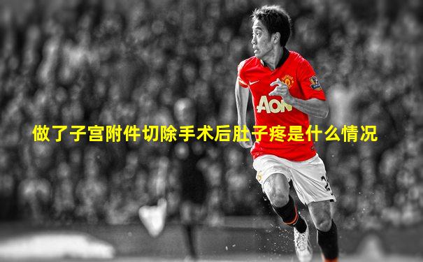 做了子宫附件切除手术后肚子疼是什么情况