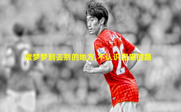 做梦梦到去别的地方,不认识回来的路