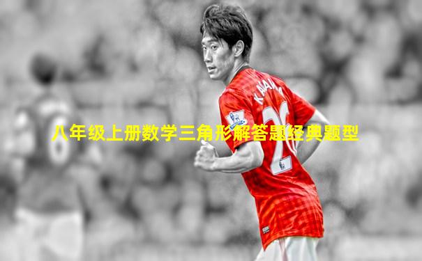 八年级上册数学三角形解答题经典题型