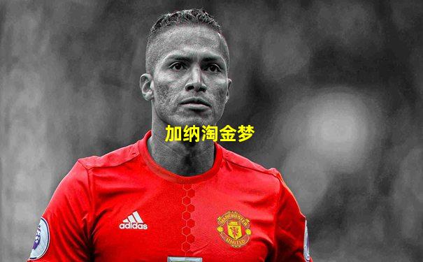 加纳淘金梦