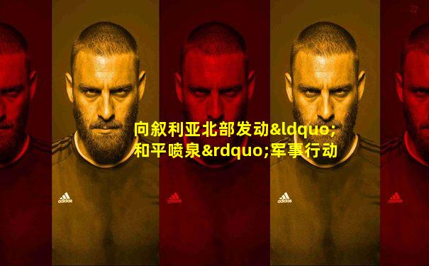 向叙利亚北部发动“和平喷泉”军事行动
