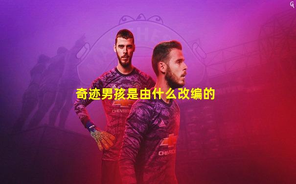 奇迹男孩是由什么改编的