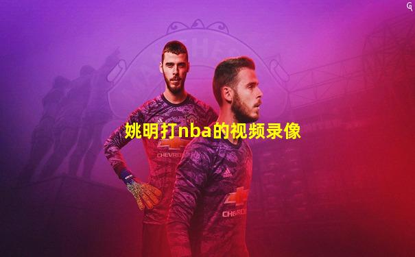 姚明打nba的视频录像