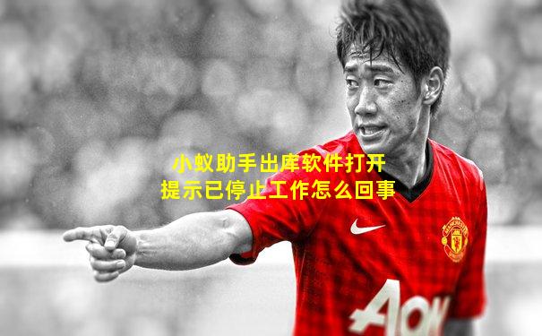 小蚁助手出库软件打开提示已停止工作怎么回事