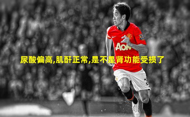 尿酸偏高,肌酐正常,是不是肾功能受损了