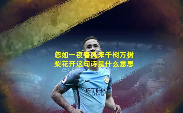 忽如一夜春风来千树万树梨花开这句诗是什么意思