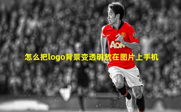 怎么把logo背景变透明放在图片上手机