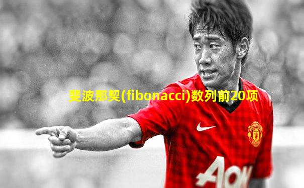 斐波那契(fibonacci)数列前20项