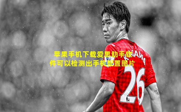 苹果手机下载爱思助手软件可以检测出手机配置图片