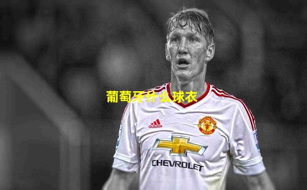 葡萄牙什么球衣