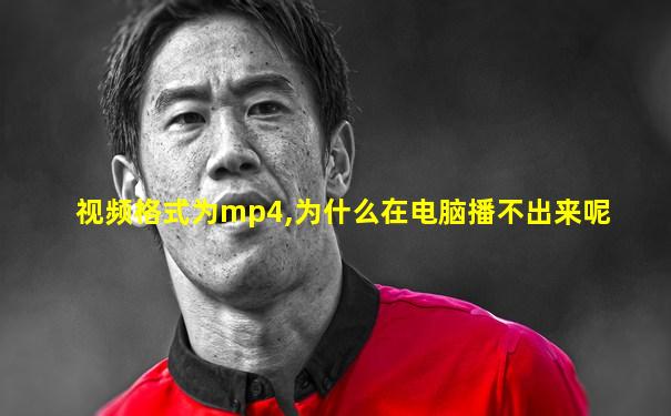 视频格式为mp4,为什么在电脑播不出来呢