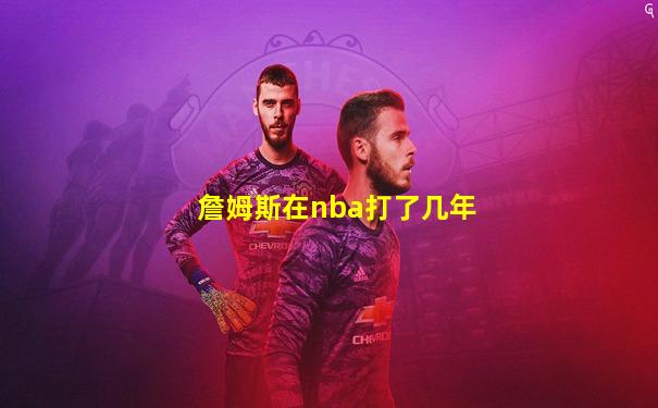 詹姆斯在nba打了几年