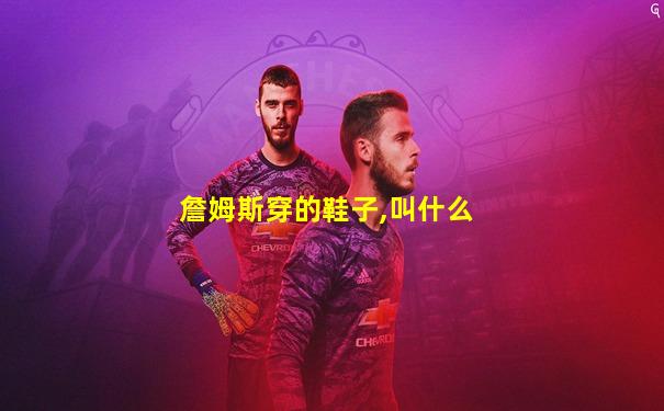 詹姆斯穿的鞋子,叫什么