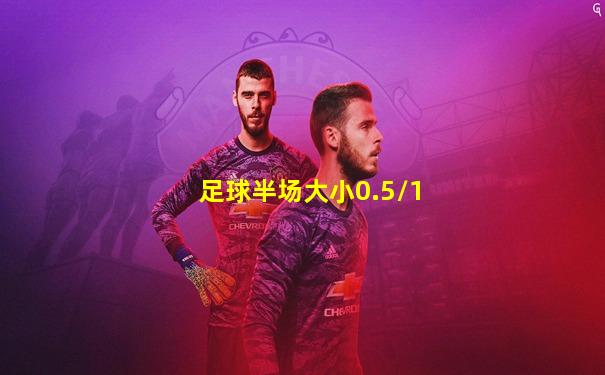 足球半场大小0.5/1