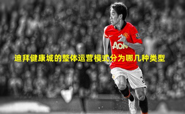 迪拜健康城的整体运营模式分为哪几种类型