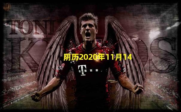 阴历2020年11月14