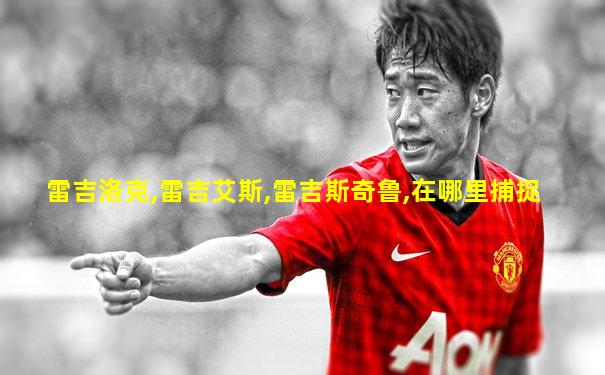 雷吉洛克,雷吉艾斯,雷吉斯奇鲁,在哪里捕捉